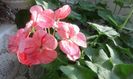 20160320_164710