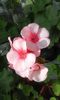 20160320_164852