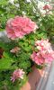 20160320_165050