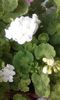 20160320_165241