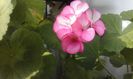 20160320_165259