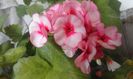 20160320_165442