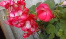20160320_165500