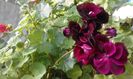 20160320_170122