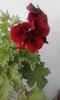 20160320_170507