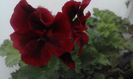 20160320_170623