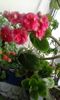 20160320_171054