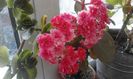 20160320_171527