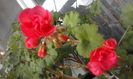 20160320_172450