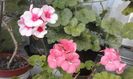 20160320_172533