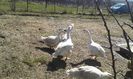 20160320_130047