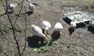 20160320_130114