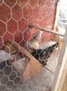 20160320_145418