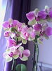IMG_20160321_125914