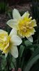 20160321_152344