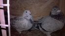 WP_20160320_21_13_10_Pro - Copy