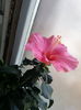 20160321_015203