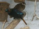 FB_IMG_1458572506938