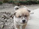 SAM_1180