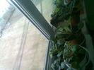 101526923_VNDMOLN