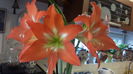 20160320_110529