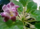101238740_OJAWWOS3
