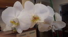 20160322_125249