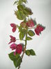 DSC04794