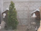 DSCN5831