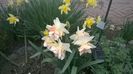 WP_20160322_006