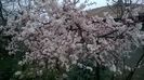 WP_20160322_008