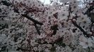 WP_20160322_010