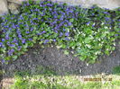 Picture 5637
