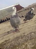 IMG_20160320_091741