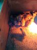 IMG-20160322-WA0003