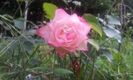 Jubilee du Prince de Monaco