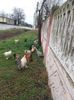 20160324_162454