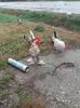20160324_162443