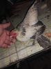 20160324_161523