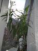 20160321_150045