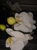 20160321_150120
