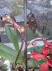 20160321_150129