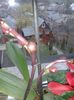 20160321_150133
