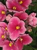 20160324_183904