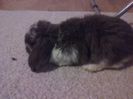 20160324_214430