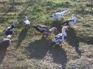 IMG_20160320_153908