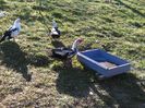 IMG_20160320_153921
