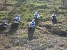 IMG_20160320_153933