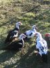 IMG_20160320_153947
