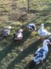 IMG_20160320_154006